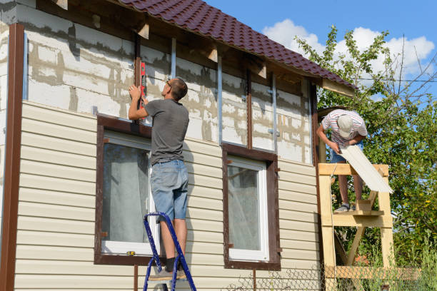Best Steel Siding Installation  in Saltville, VA