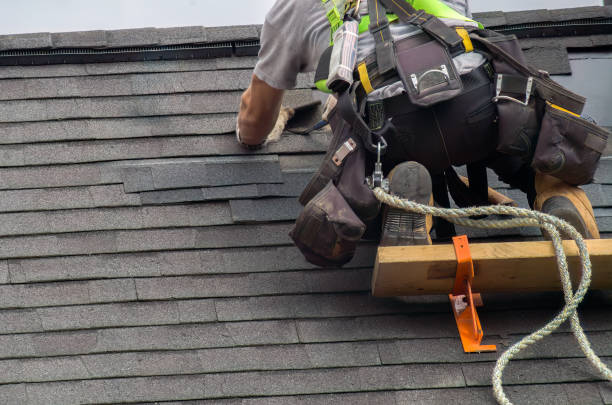 Best Storm Damage Siding Repair  in Saltville, VA